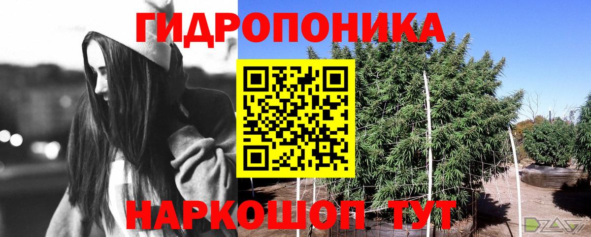 Лысьва  Бошки Шишки SATIVA & INDICA  Вход с VPN  Конопля ГИДРОПОН  МАРИХУАНА семена 